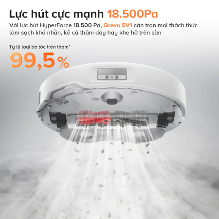 Lực hút