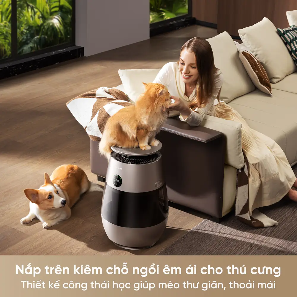 5-biomimetic cat house curved top cover
