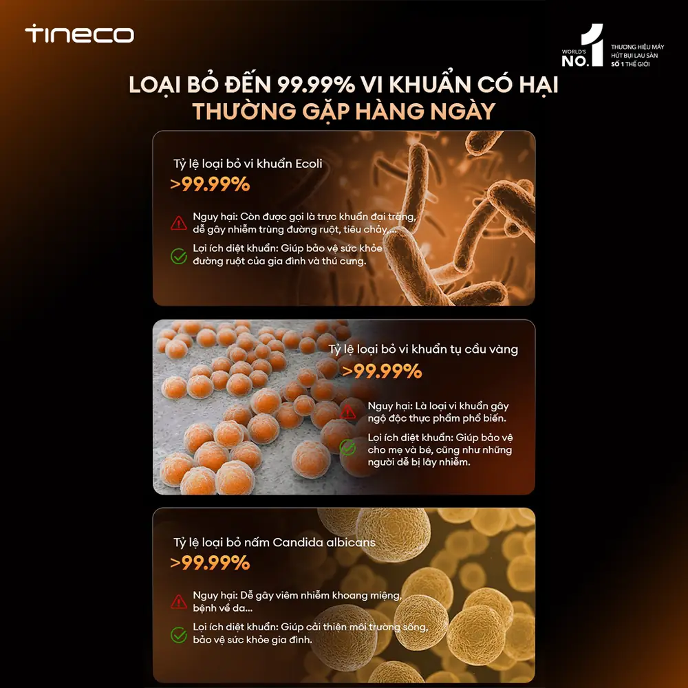 artboard 5 (1)